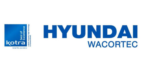 Hyundai Waco